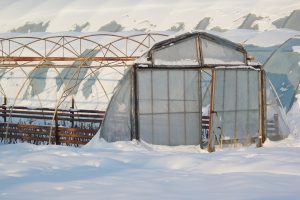 Consultanță asigurare a culturilor împotriva riscurilor