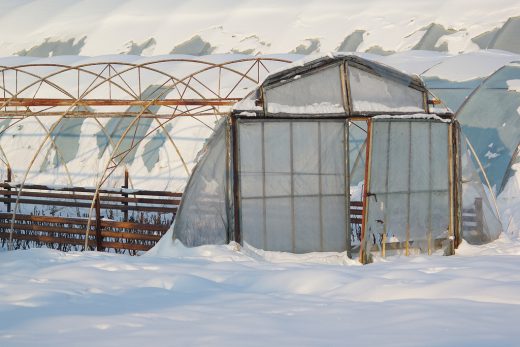 Consultanță asigurare a culturilor împotriva riscurilor