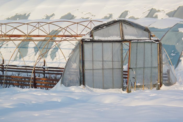 Consultanță asigurare a culturilor împotriva riscurilor